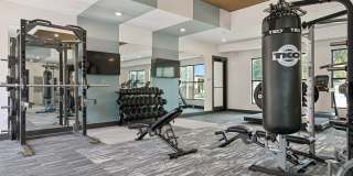 Ascend at Carlton Gallery 11