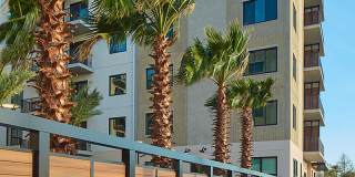 Luna at Viera Gallery 20