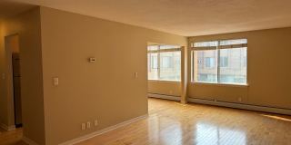 Lovely Lowry Hill 1 Bedroom Condo Gallery 4