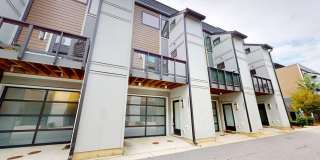 Stunning high end modern townhome in Southend Gallery 1