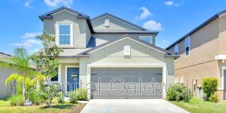 9434 Lemon Drop Loop Gallery 2