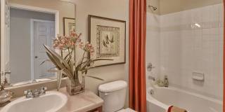 Lullwater at Saluda Pointe Gallery 25