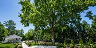 Timberstone Gallery 15