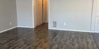 BALDWIN 08 Gallery 16