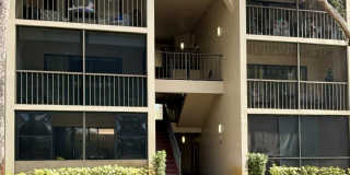 203 Foxtail Drive Gallery 1