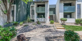 Treehouse Apartments Gallery 42