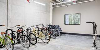 Madison West Elm Gallery 77