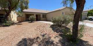 1205 NEVADA BLAZE Avenue Gallery 1