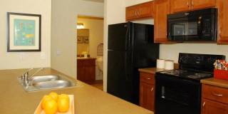 Copper Ridge Gallery 12