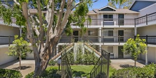 The Avenue at Carlsbad Gallery 17