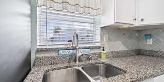 Dolphin Beach Gallery 11