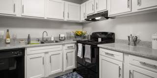 St Johns Pointe Gallery 1