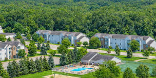 Somerset Park Gallery 1