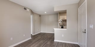 Lake Pointe Gallery 4