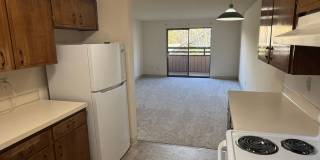 451w13 Gallery 26