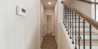 Surrey Green Gallery 2