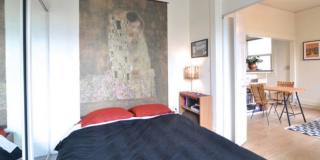 Ashton Gallery 8
