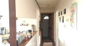 264 Belmont St 264 Belmont St Gallery 7