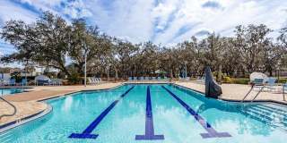 12619 HAMMOCK PARK DRIVE Gallery 31