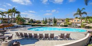 Gorgeous Large Furnished Home in the Gated Community of San Joaquin Hills! Gallery 40