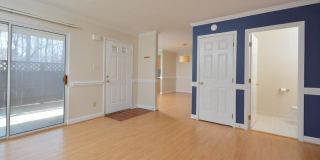 425 Summerwalk Gallery 8