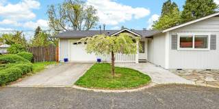 Unfurnished Light-Filled, Beautifully Updated 3-Bedroom Home in Jacksonville Gallery 44