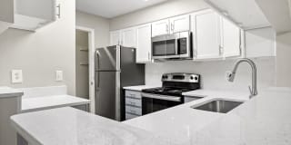 Ellevate North Charleston Gallery 2