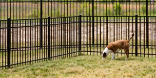 Gateway Crossing Gallery 15