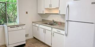 Home in South Boulder for Fall Pre-Lease! Gallery 6