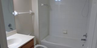 3 Bed/ 2 Bath in Victoria Park 3 Bed/ 2 Bath in Victoria Park Gallery 30