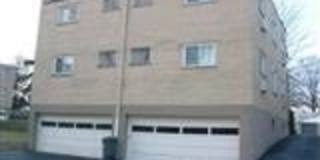 Nandale - Yellow Gallery 26