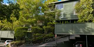 Contemporary North Berkeley 2 Bedroom Condominium Gallery 1