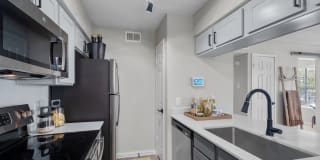 The Jaxon Gallery 23