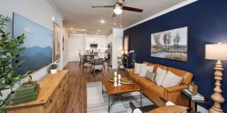 Town Kennesaw Gallery 39