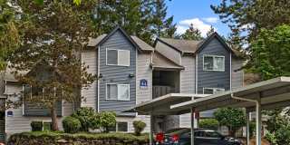 Cascade Ridge Gallery 33