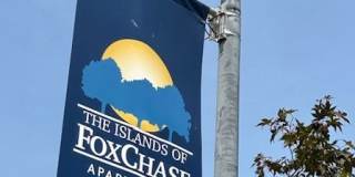 The Islands of Fox Chase Gallery 26