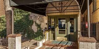 The Profile Gallery 1