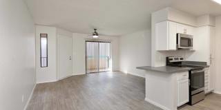Paseo 51 Gallery 26