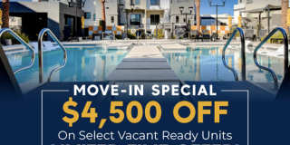 Maverick Gallery 295