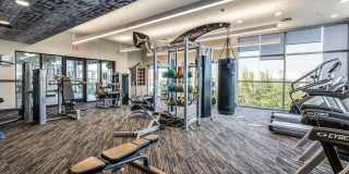 2929 Wycliff 2929 Wycliff Gallery 28