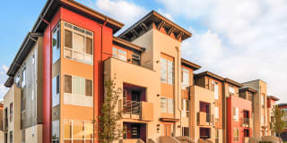 The Aster Town Center Gallery 1