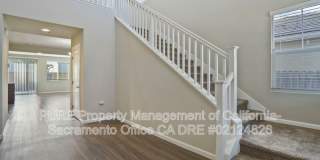 5512 Amnest 5512 Amnest Gallery 7