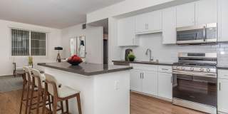 Vineyards Gallery 184