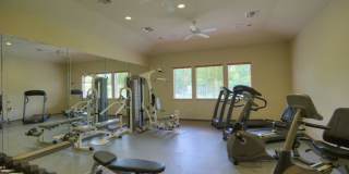 Park at Piney Woods Gallery 17
