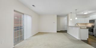 Roebling Row Gallery 74