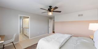 2524 Balsam Cove Road Gallery 18