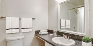 Foothills Gallery 11