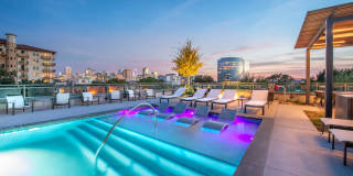 Aster Aster Gallery 8