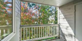 Spinnaker Apartments Gallery 10