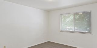 Orchard Place Gallery 11